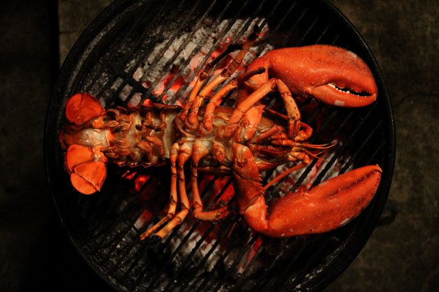 to like Cook lobster red  How how to Lobster make a Barbecue on butter