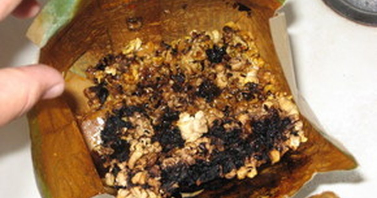 How To Get Burned Food Smell Out Of House How To Get Burned Food Smell Out Of House