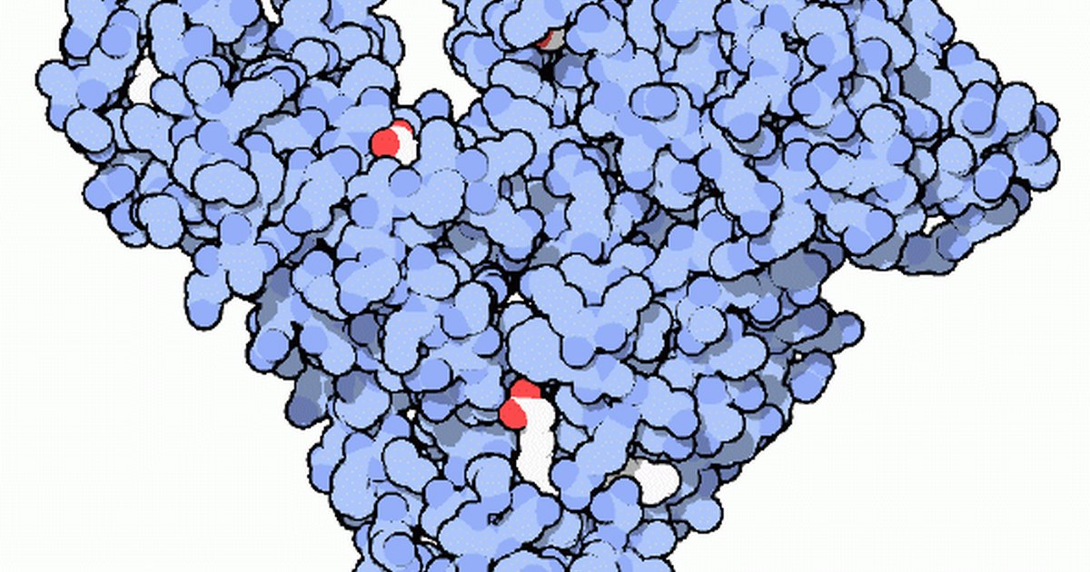 what-are-the-causes-of-low-blood-protein-ehow-uk