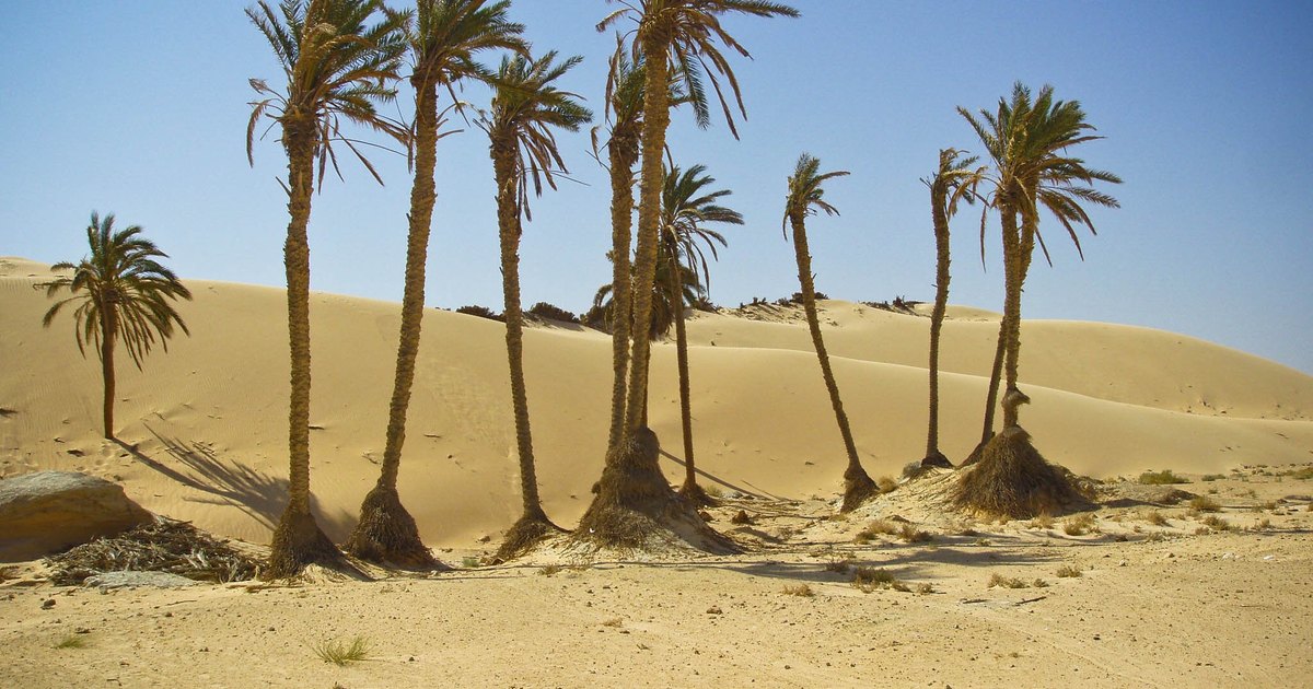 What Is The Average Yearly Rainfall In The Sahara Desert? | EHow UK