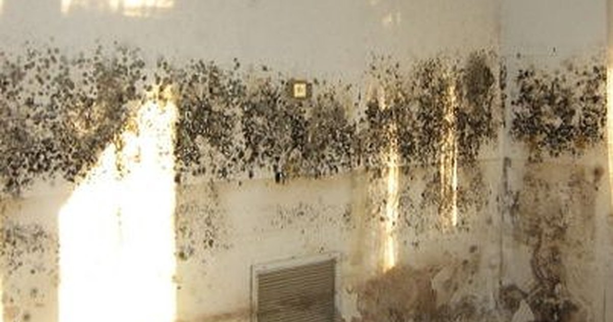 health-side-effects-of-black-mold-ehow-uk