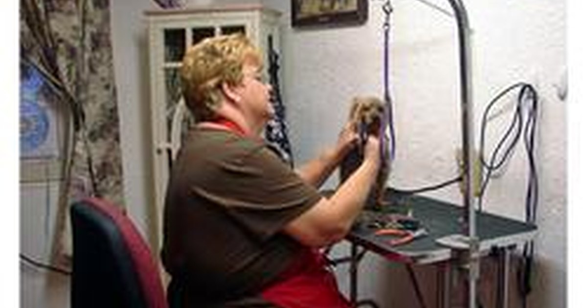 pad a yorkie how to trim a yorkie s foot pads and toenails ehow uk pad a yorkie how to trim a yorkie s foot pads and toenails ehow uk