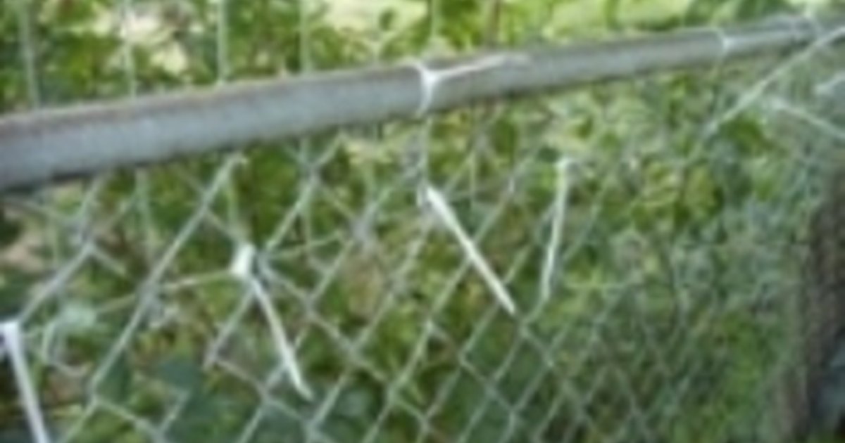 how to keep from jumping fence how to keep a from jumping a fence ehow uk how to keep from jumping fence how to keep a from jumping a fence ehow uk