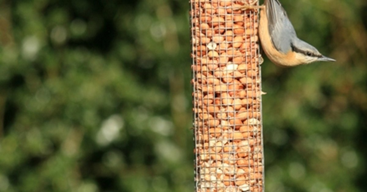 Homemade tube bird feeders eHow UK picture