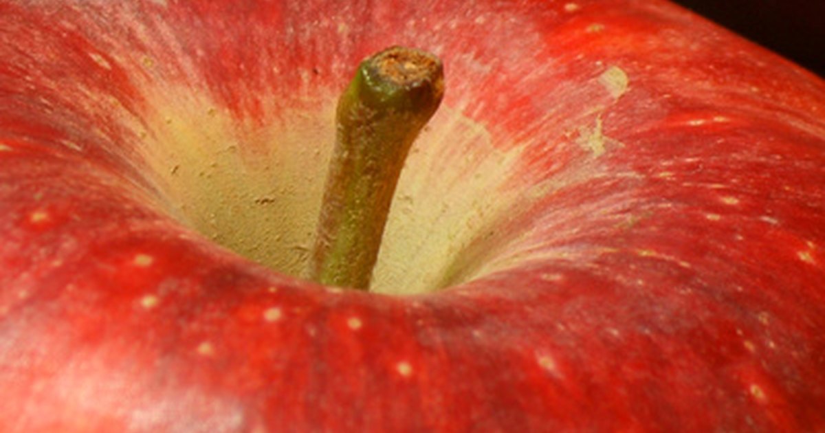 La eccema microbiana de la queja del enfermo