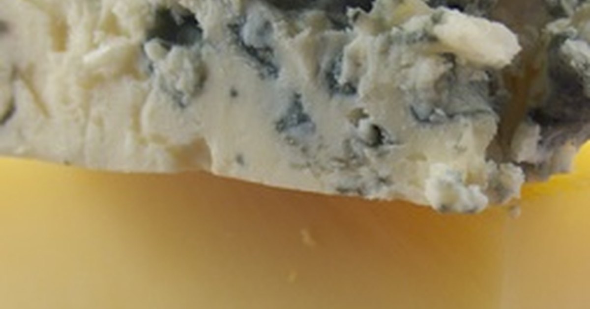 bacteria-used-to-make-cheese-ehow-uk