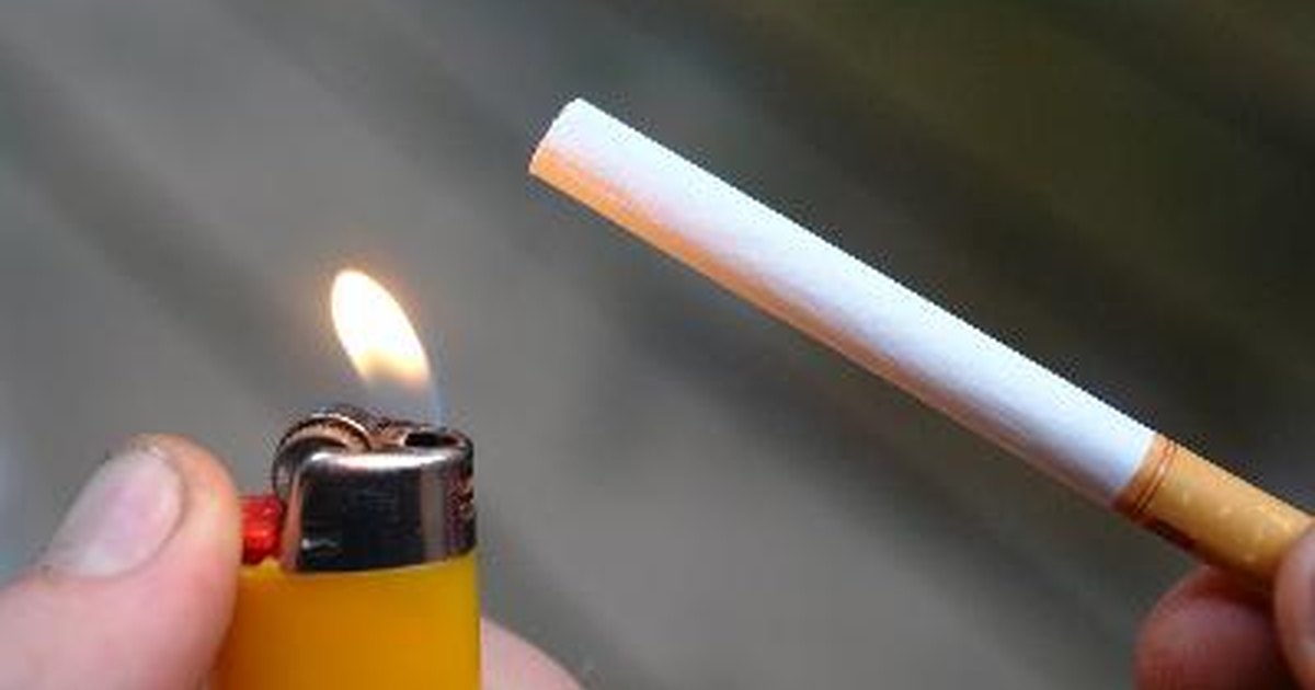 Raiz para deixar de fumar um acorus