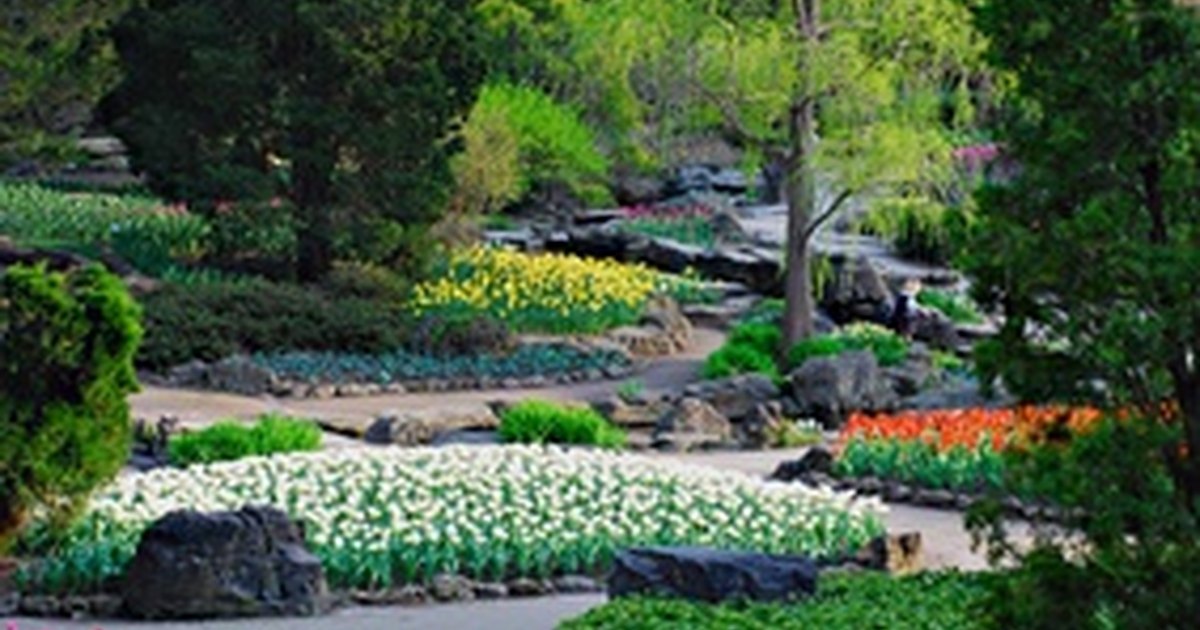 How does npk fertilizer affect plant growth? eHow UK