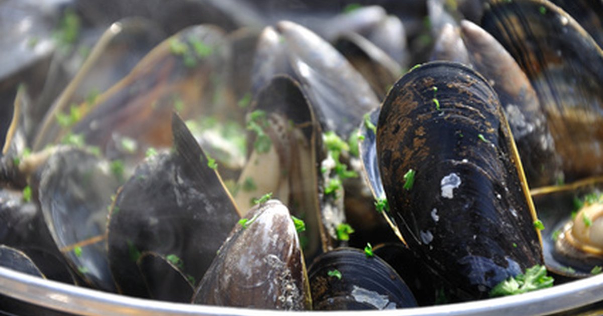 The Proper Way to Eat Mussels eHow UK