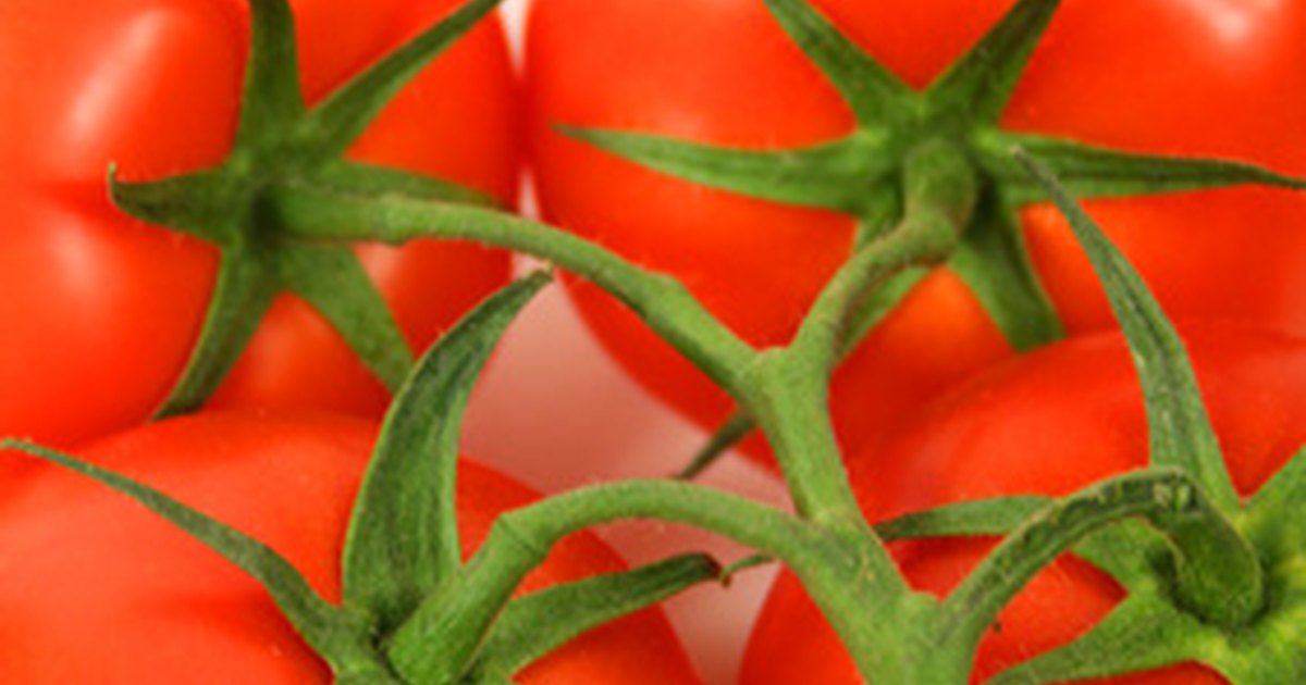 How Can I Tell If I Am Over Watering or Under Watering My