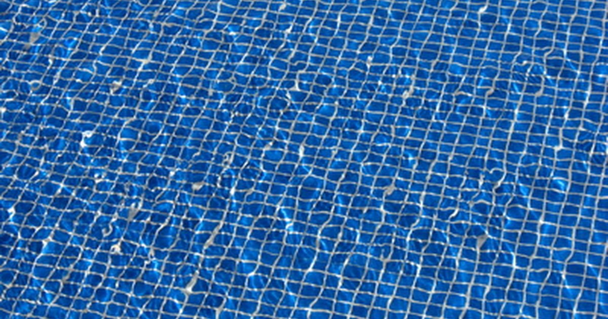 As fotos batidas com um fungo de pé