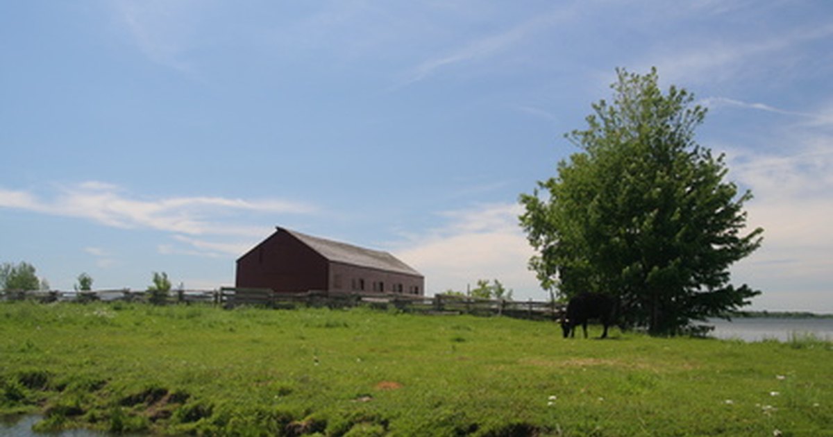 What Does it Cost to Build a Barn