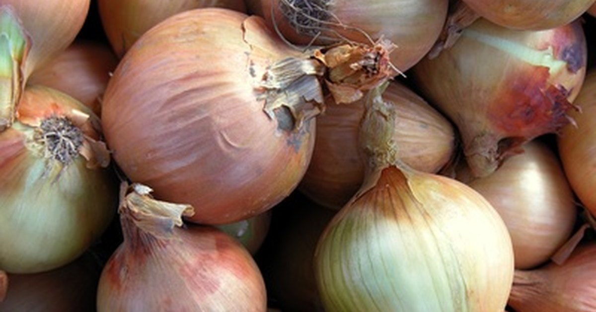 can-onions-be-safely-stored-in-the-refrigerator-after-peeling-ehow-uk