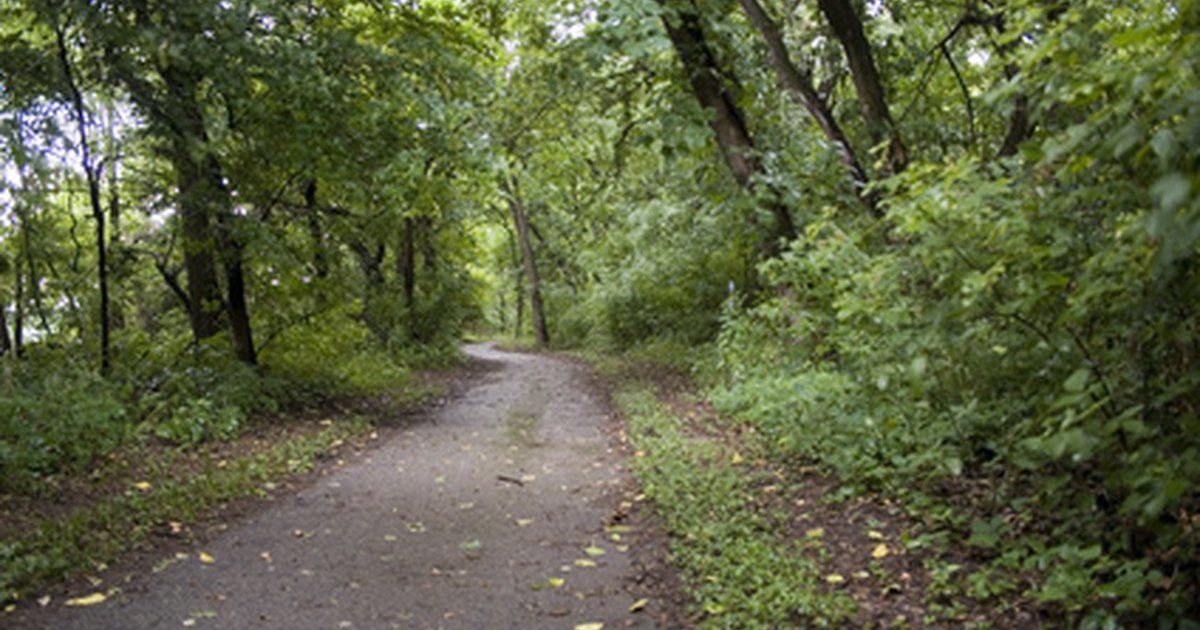 Types of easements Types of easements image