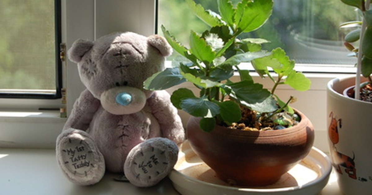 How To Make A Window Sill Wider For Plants
