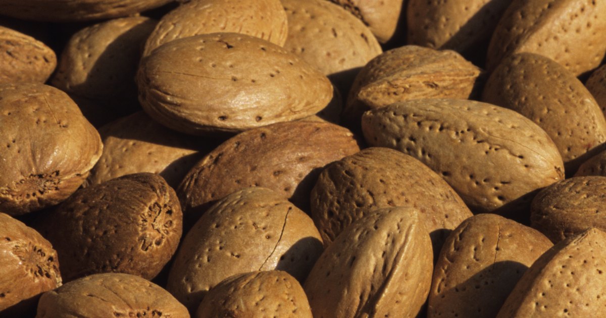 peludas