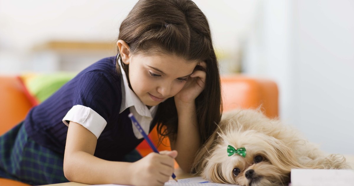 kid writing contests kid writing contests