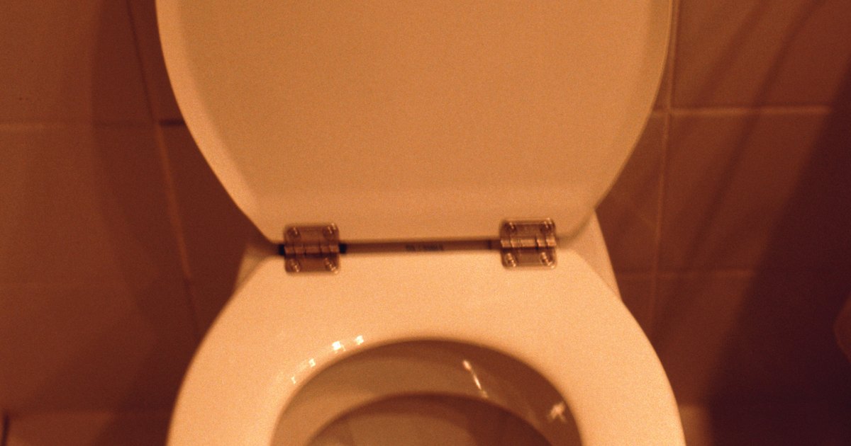 toilet casero toilet casero