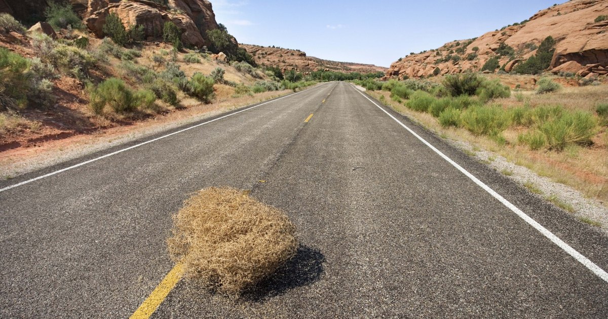 how to make a tumbleweed how to make a tumbleweed