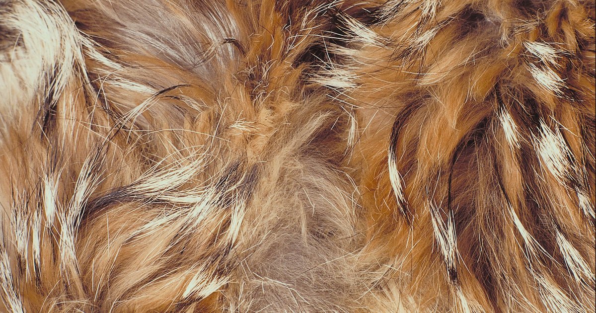 Dogs mange and sulfodene directions | eHow UK