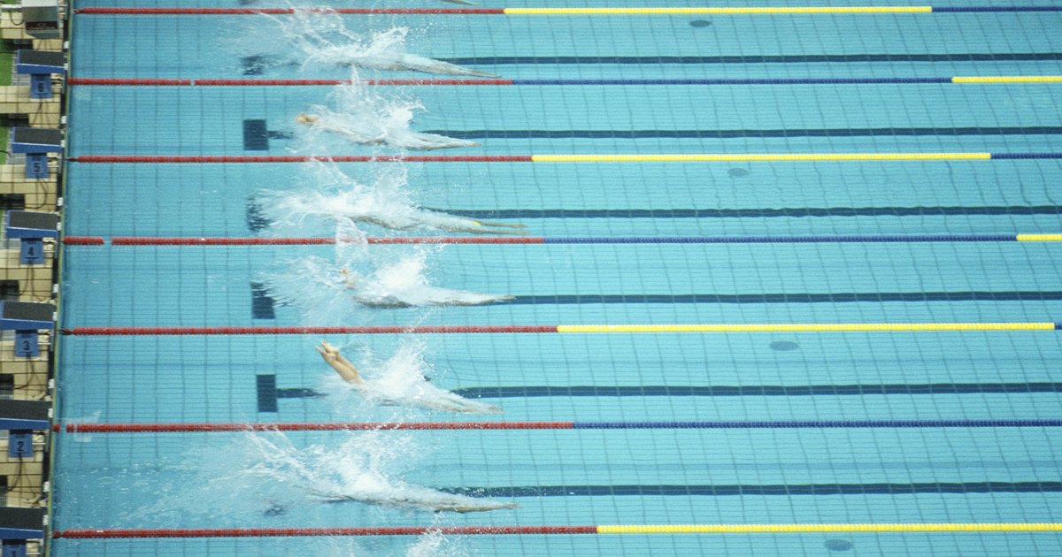 lap pool size and cost