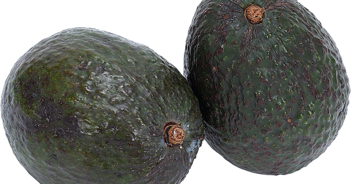 ¿Cuánto aguacate puede consumir un diabético? | LIVESTRONG ¿Cuánto aguacate puede consumir un diabético? | LIVESTRONG