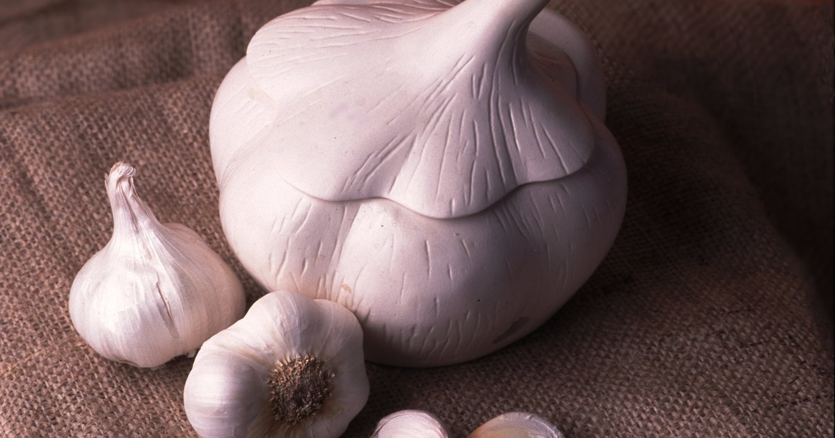 Baixas de gatos de vermes e parasitas