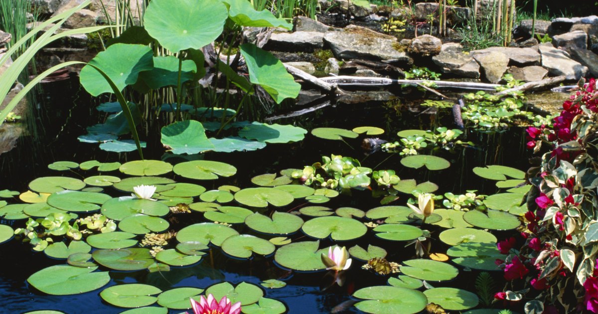 Pondmaster UV Pond Water Clarifier 20 Watt