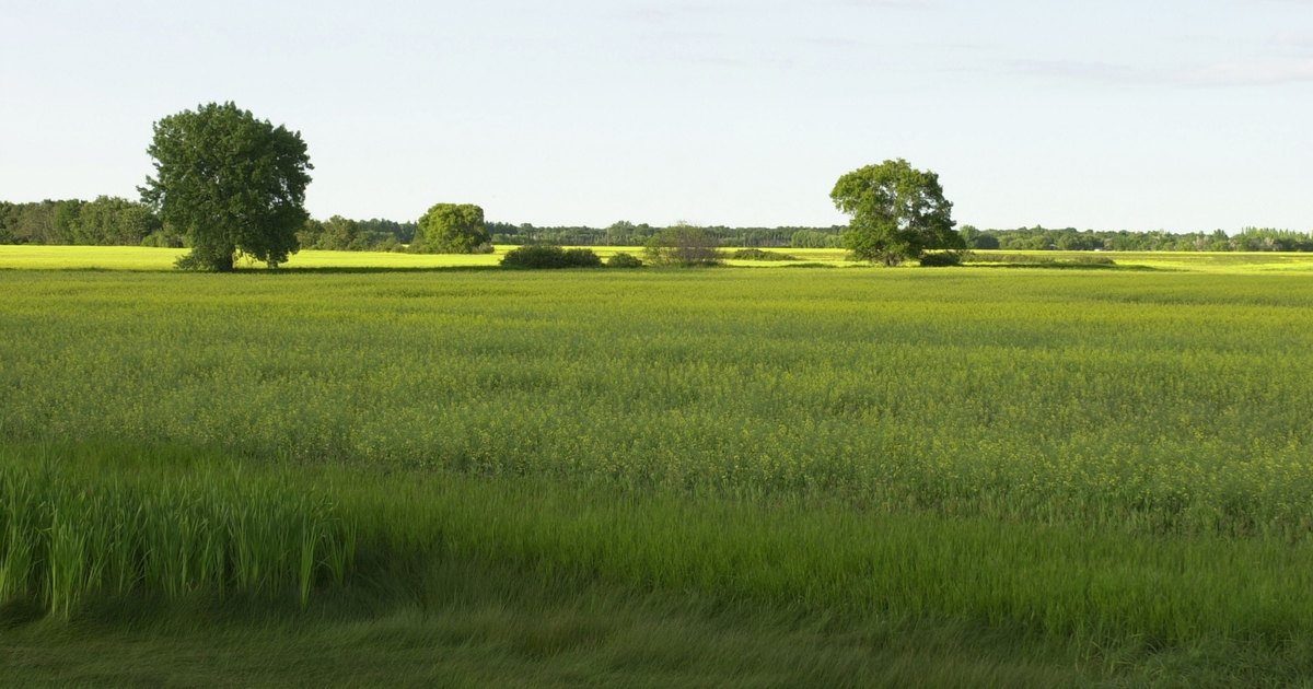 Relieves y recursos naturales de la llanura costera | eHow en Español