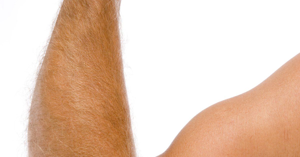EJERCICIOS PARA DISTINTOS MUSCULOS ejercicios para distintos musculos: