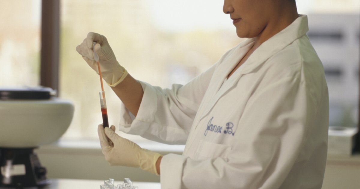 Bastonetes baixos no exame de sangue