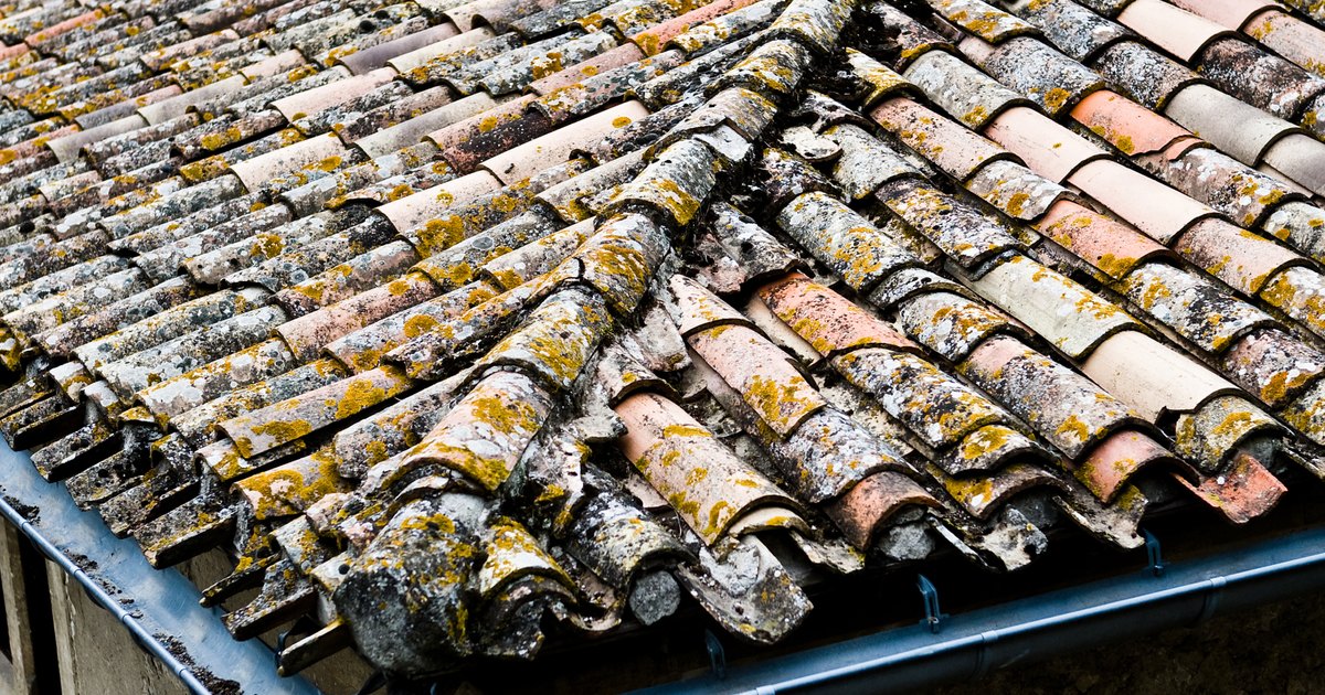 roof tiles supplier
