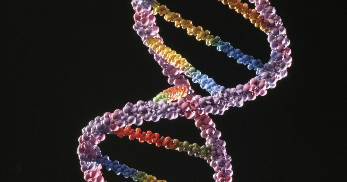 Como fazer um exame de dna