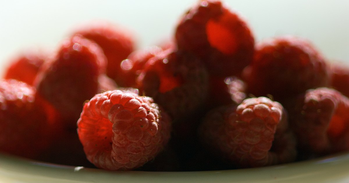 how-to-cut-back-raspberries-after-the-season-ehow-uk