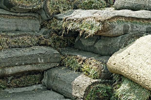 Make sod house project Make sod house project