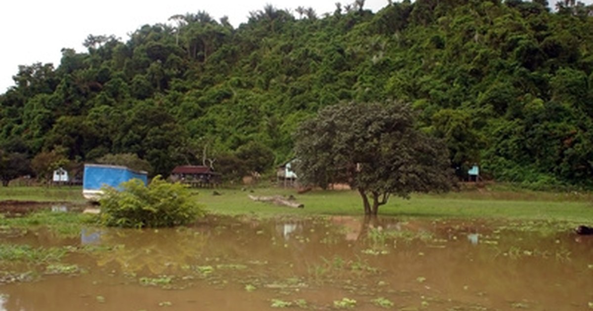 What Are the Pollution Issues in the Amazon Rainforest? | eHow UK