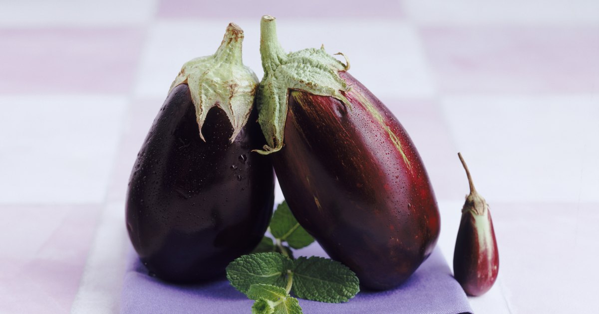 Can you freeze eggplant (aubergine)? 